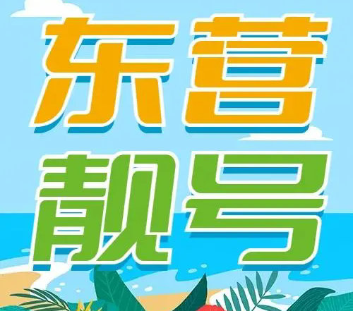 东营手机号